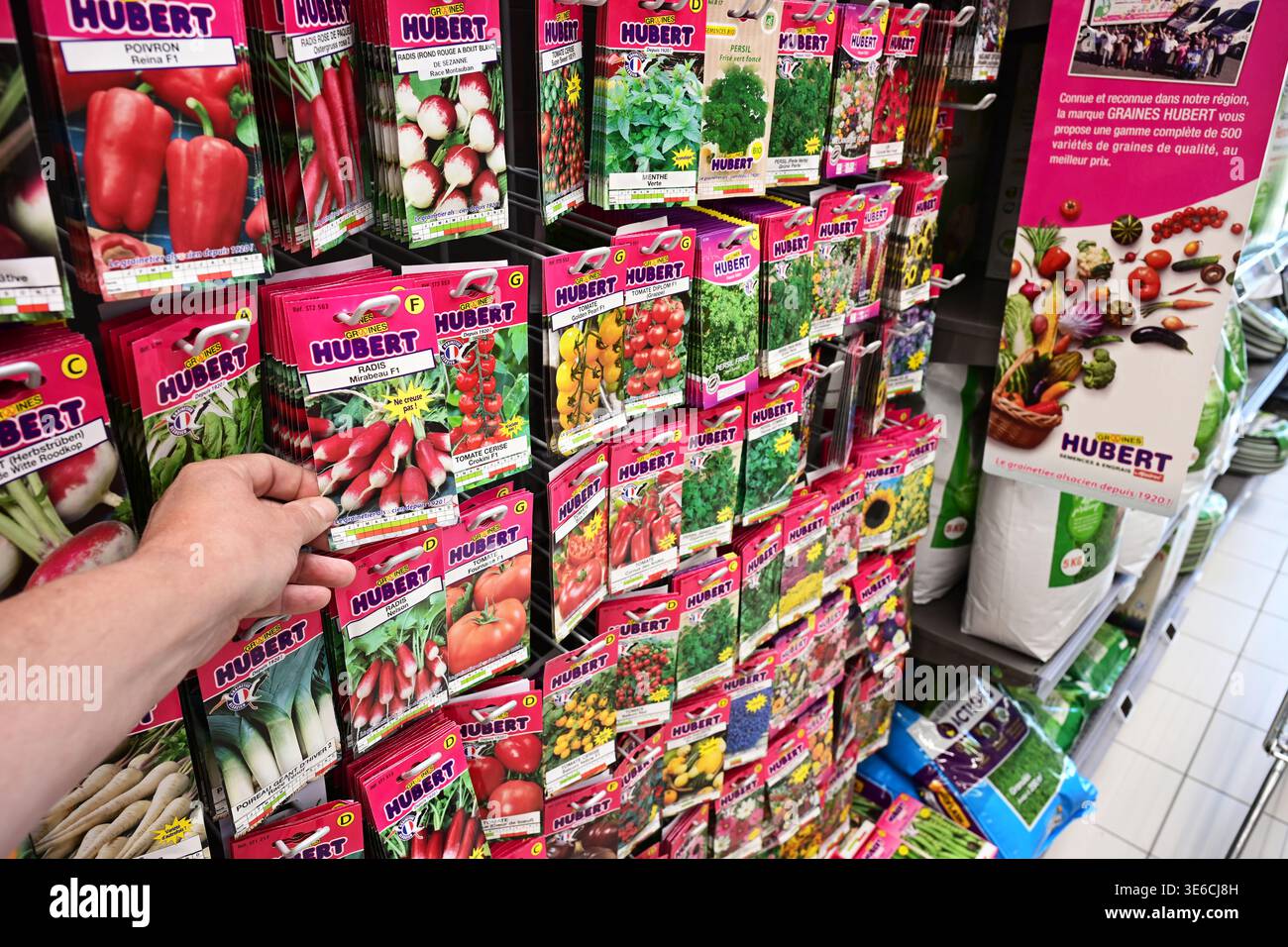 Päckchen mit Samen für den Gärtner in einem Geschäft Stockfoto