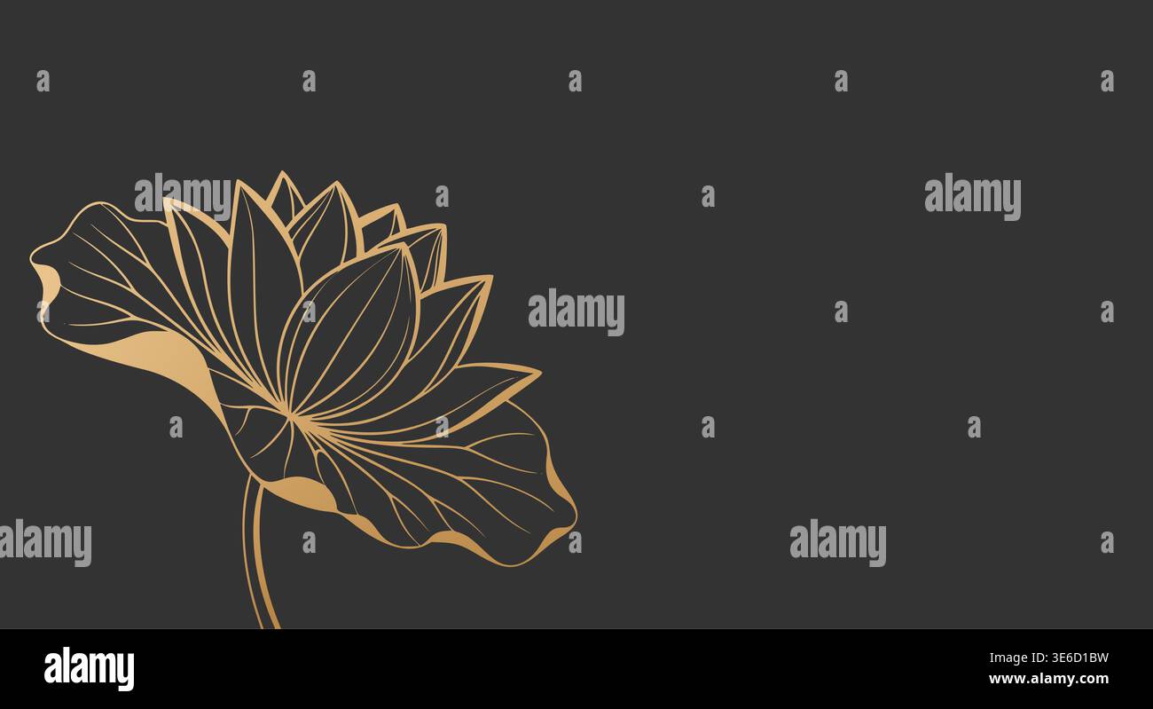 Eine elegante goldene Umrandung einer Lotusblüte mit einem teilweise gefüllten Blatt, anmutig auf einem tiefdunkelgrauen Hintergrund dargestellt. Dieser luxuriöse Vektor-Il Stock Vektor