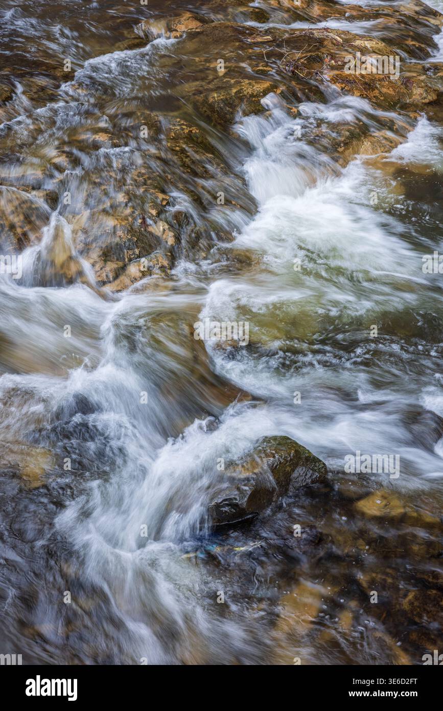 Gebirgsfluss mit starker Strömung in Zakarpattia, Ukraine. Klares Wasser fließt über Felsen und erzeugt dynamische Texturen und Spritzer Stockfoto