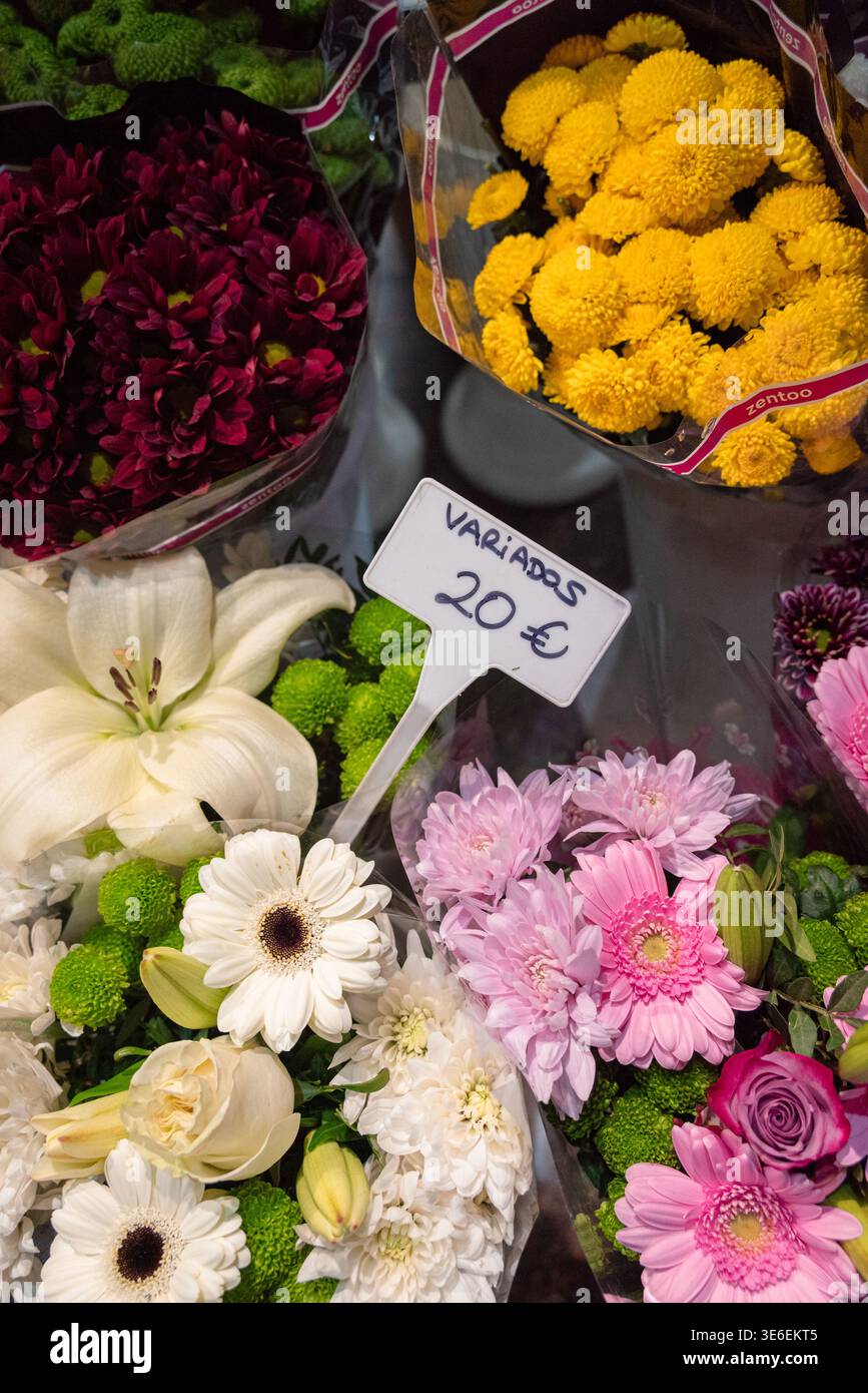 Blume und Farben Stockfoto