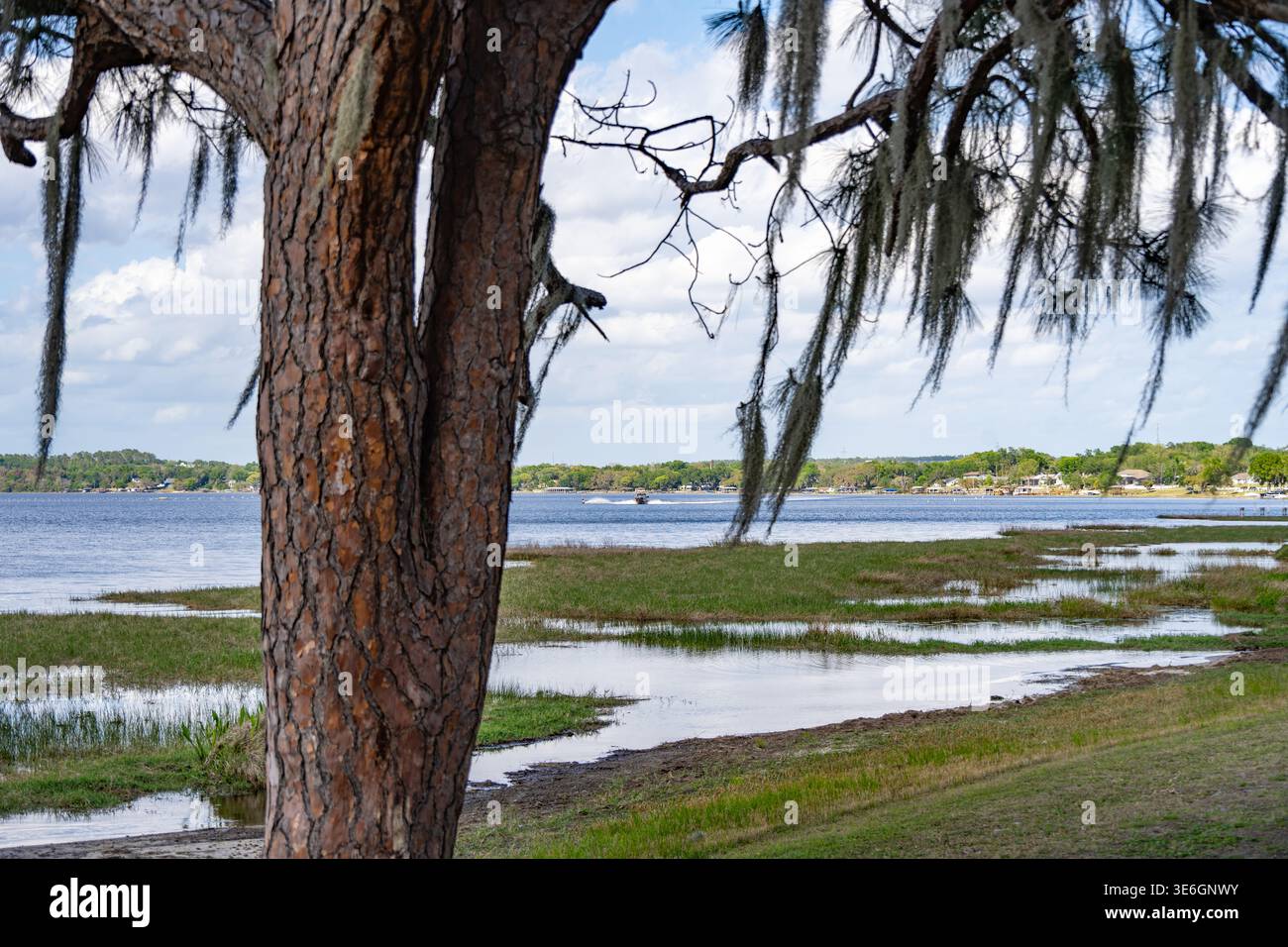 Blick auf Lake Minneola in Clermont, Florida. (USA) Stockfoto