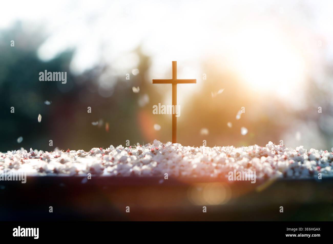 Das Kreuz Jesu Christi und fallende Blütenblätter Hintergrund, Osterkonzept Stockfoto
