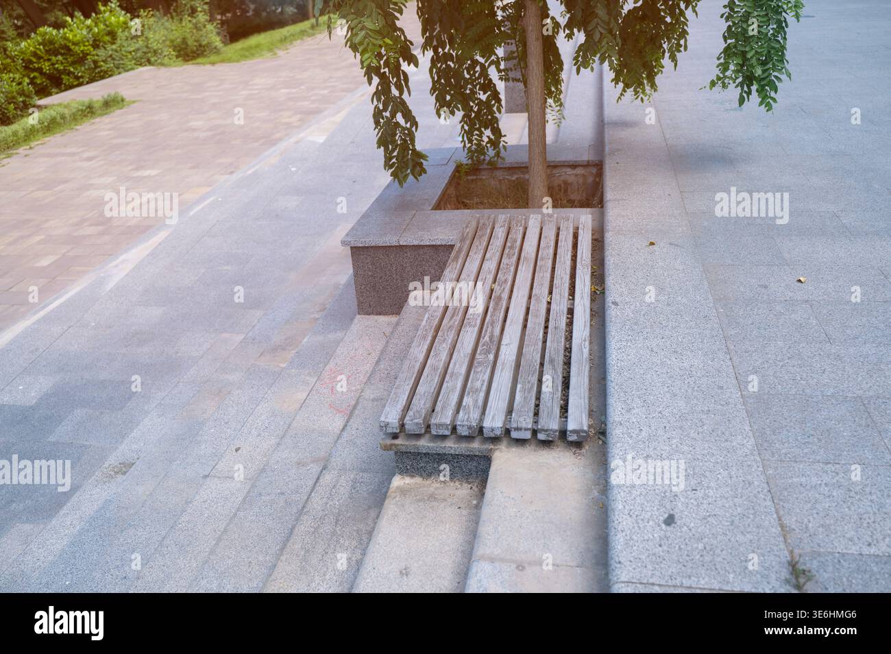 Moderne Parkbank neben einem grünen Baum auf einem gepflasterten Bürgersteig. Stilvolle Gartenmöbel. Konzept von städtischem Komfort, öffentlichem Ruhebereich und Stadtleben. Stockfoto
