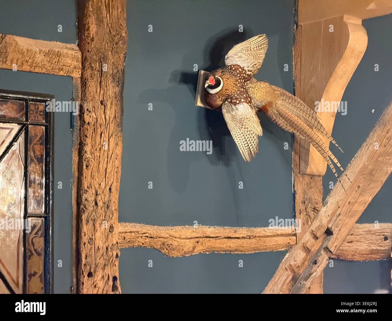 Fasan an an Holzrahmenwand im privaten Speisesaal des Hotels Indigo Stratford-upon-Avon, früher bekannt als Falcon Hotel. Stockfoto