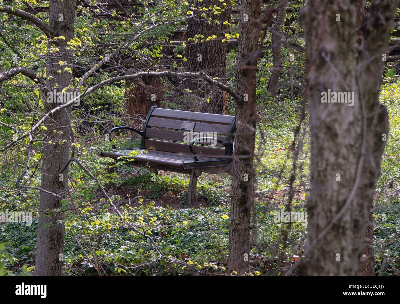 Ruhige Szene in einem öffentlichen Park Stockfoto