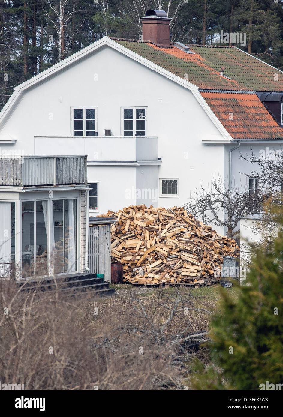 Großer Haufen gehackten und gespaltenen Brennholzes, der draußen zum Trocknen in einem Wohngarten gelassen wurde Stockfoto
