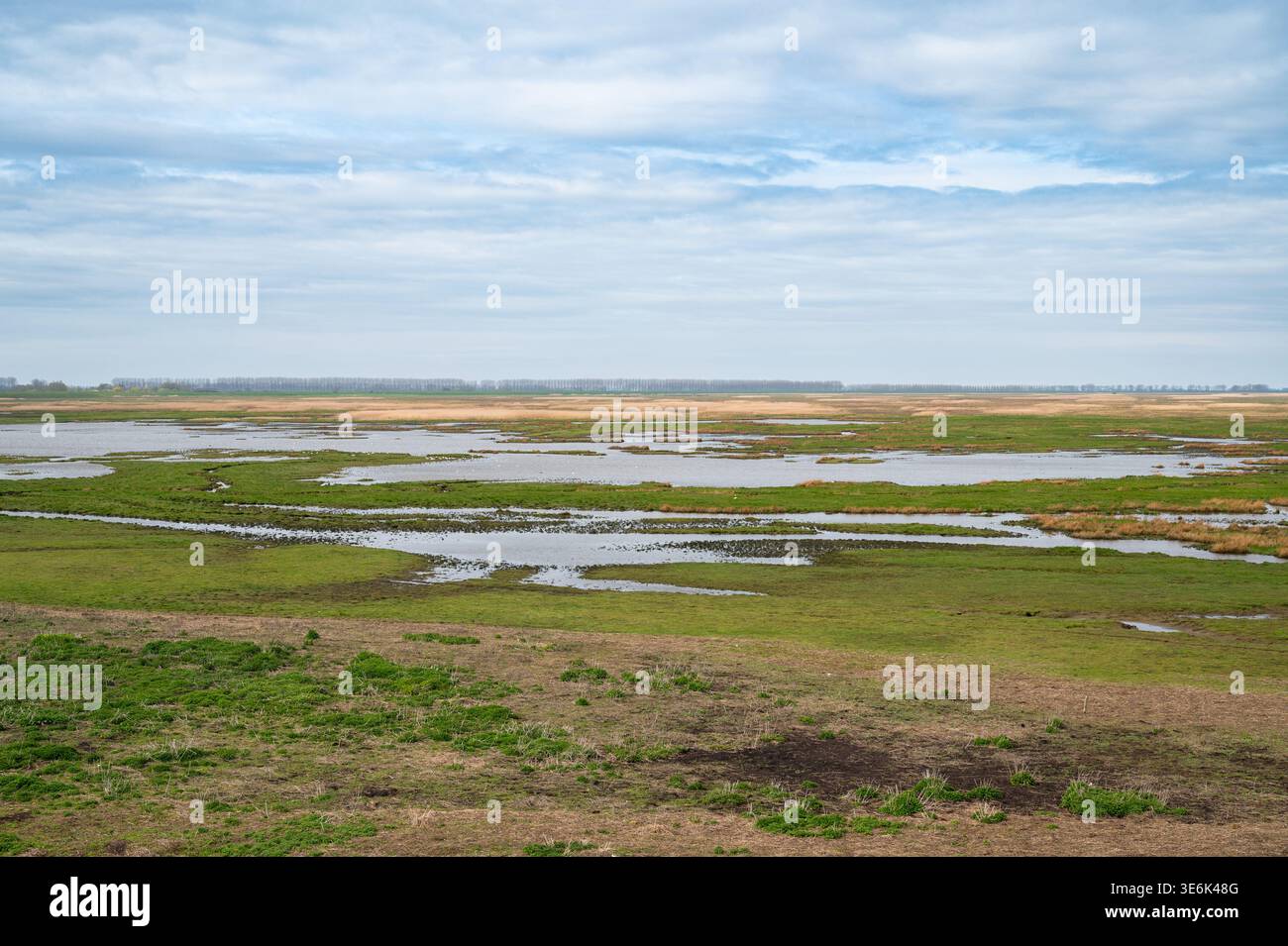 Versunkenes Land von Saeftinghe, Atlantische Salzwiesen, Feuchtgebiet und Naturschutzgebiet zwischen den Niederlanden und Belgien, Brackwassergebiet Stockfoto