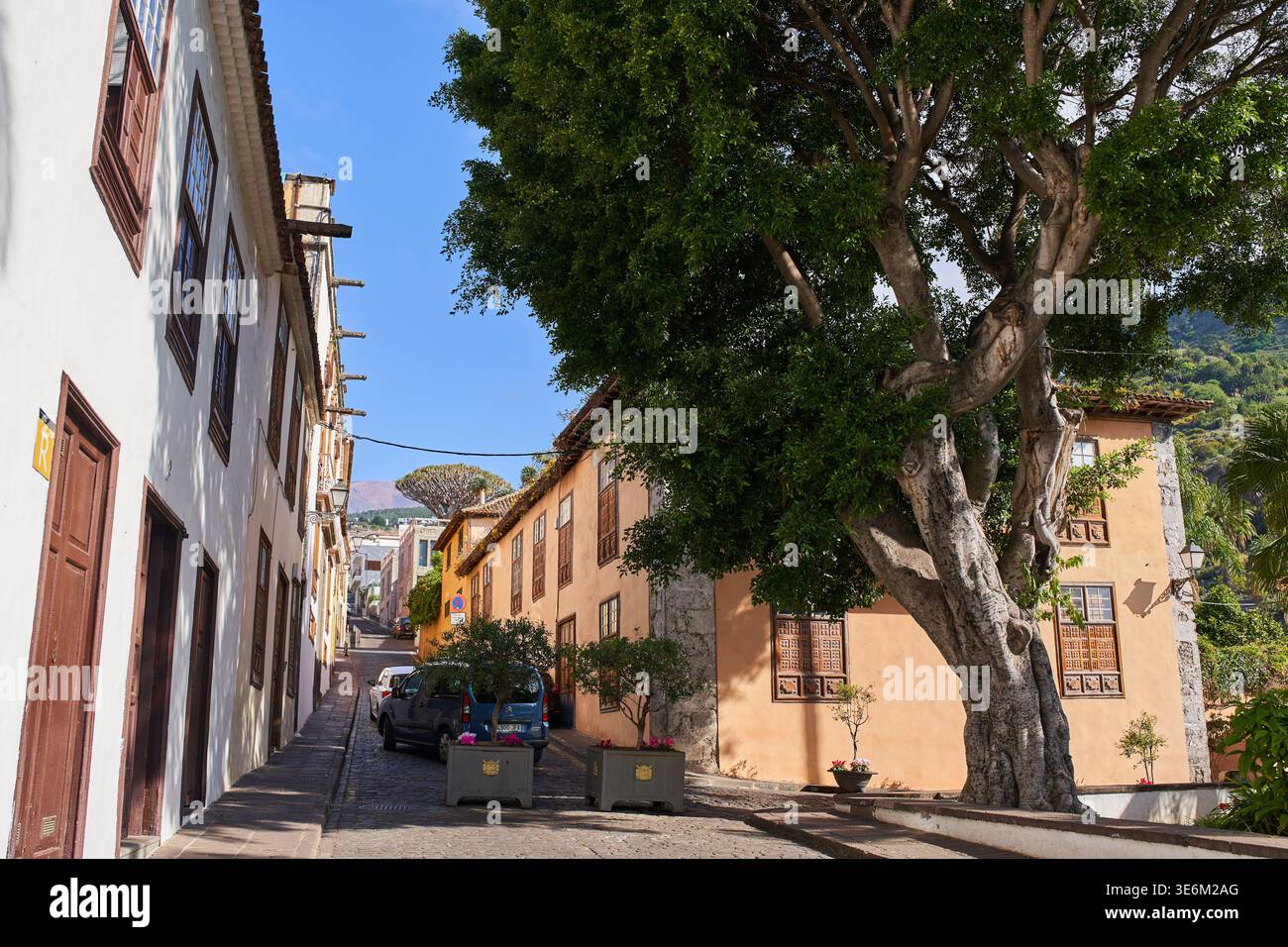 ICOD DE LOS VINOS, TENERIFFA, SPANIEN – 4. JUNI 2025: Eine kopfsteingepflasterte Straße im historischen Zentrum von Icod de los Vinos mit traditionellen kanarischen Gebäuden Stockfoto