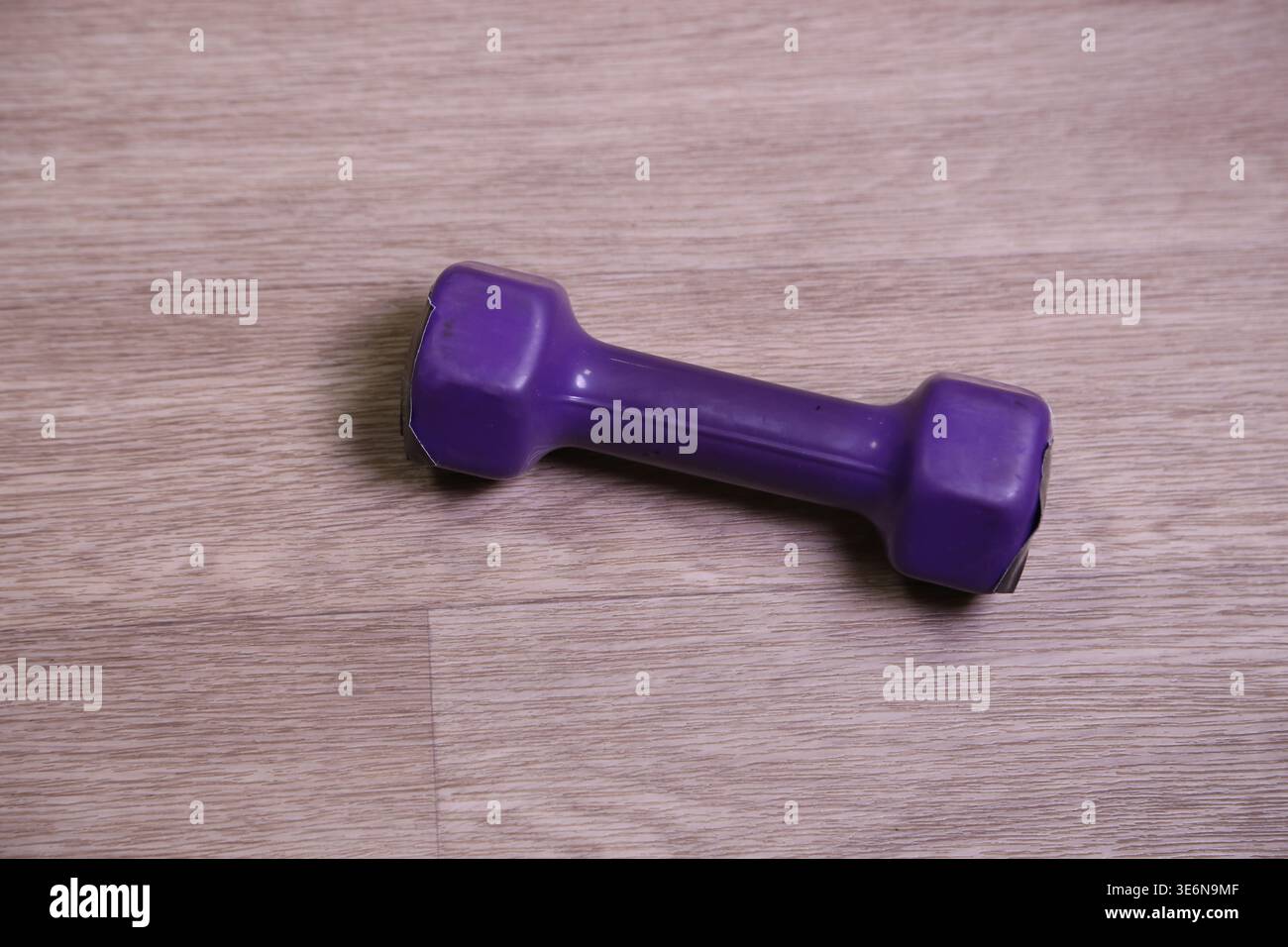 Eine lila Hantel befindet sich auf einem Holzboden in einem Fitnessstudio oder Fitnessraum. Die Einstellung zeigt den Schwerpunkt auf Trainingsgeräten während einer Trainingszeit. Sonnenlicht verleiht dem Bereich Wärme. Stockfoto