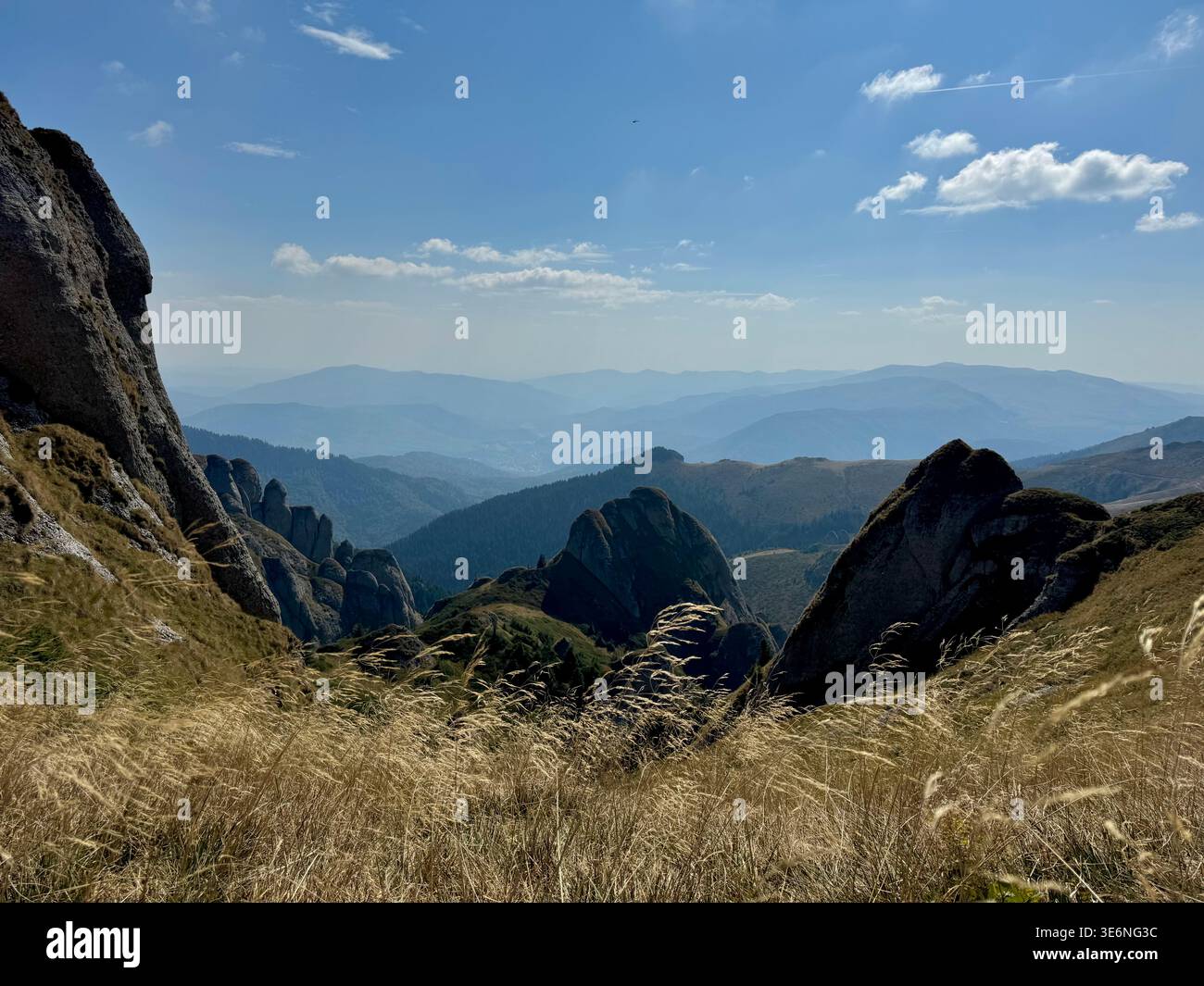 Transparenter alpiner See mit felsigem Grund und Stockfoto