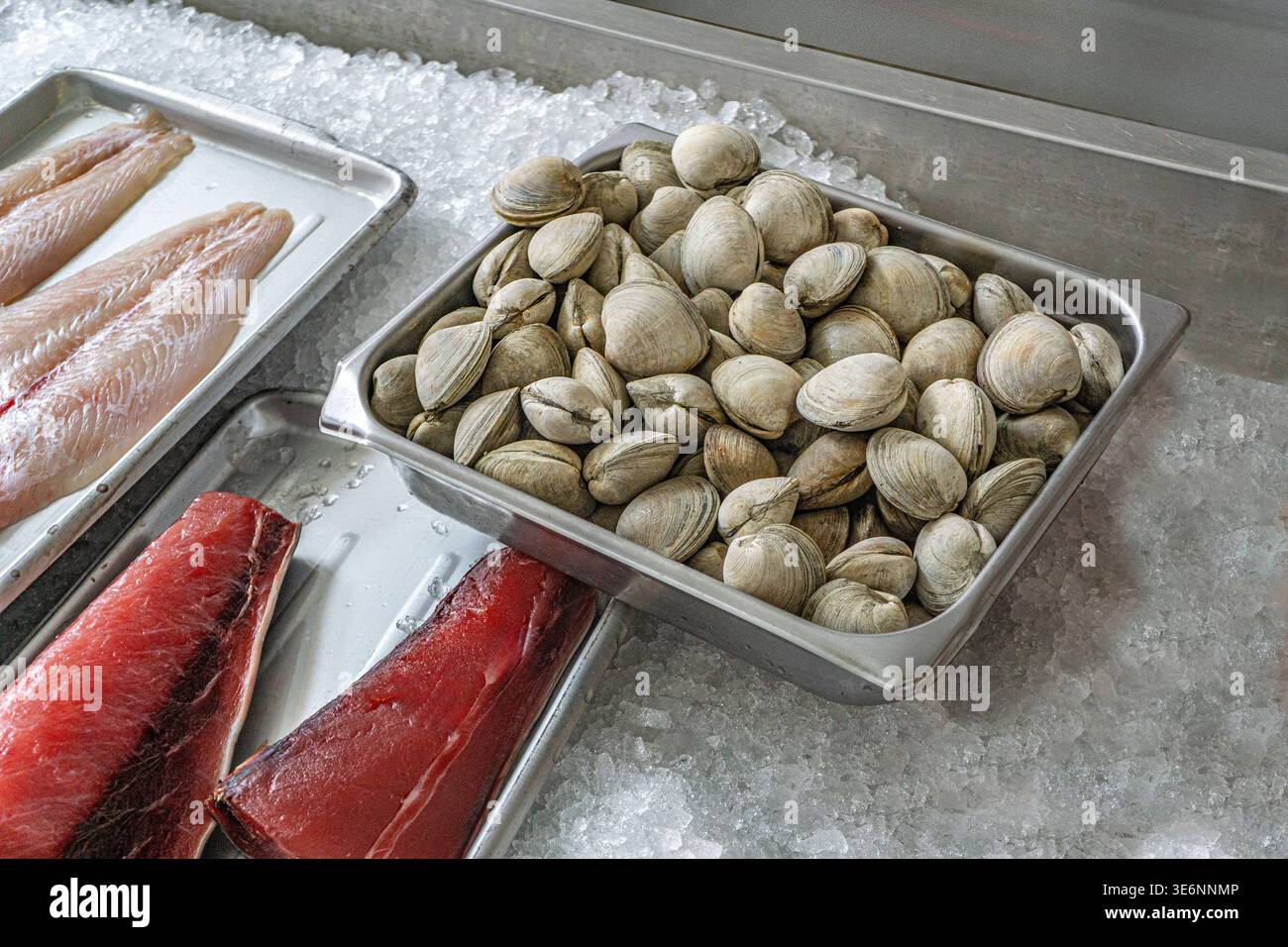 Frische Meeresfrüchte, Rozzo's Fish Market, 159 9th Avenue, Manhattan, New York City, New York, USA Stockfoto
