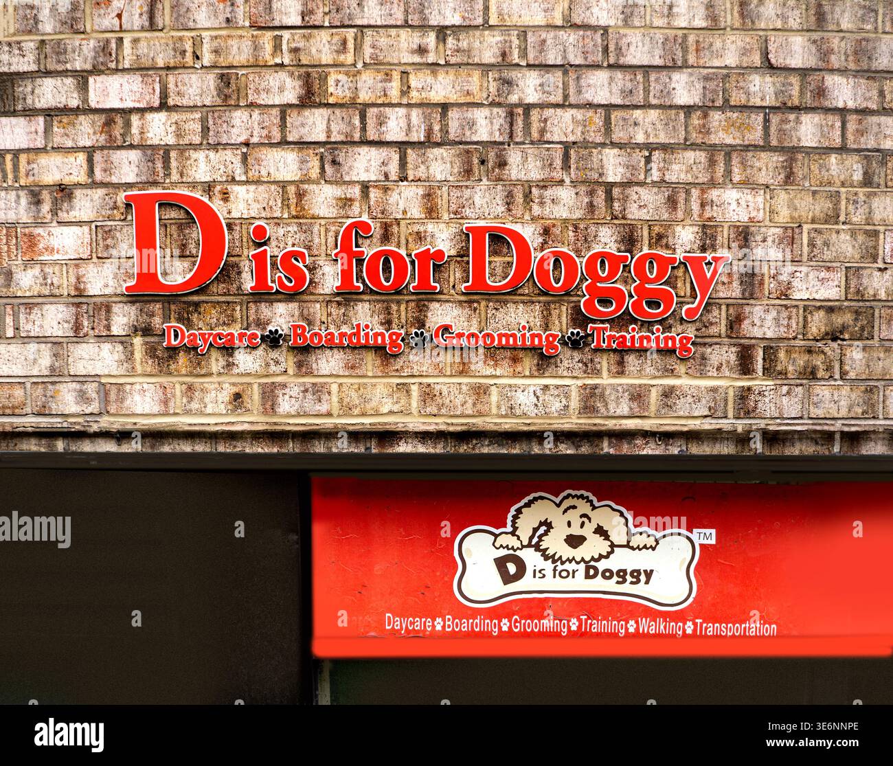 D ist für Hunde, Kindertagesstätte, Boarding, Pflege, Training, Außenansicht des Gebäudes, Manhattan, New York City, New York, USA Stockfoto