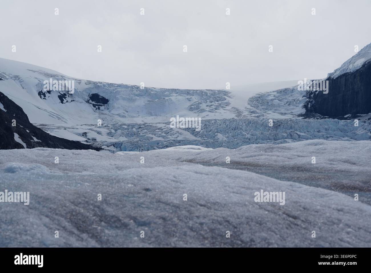 Athabasca-Gletscher, Kanada Stockfoto
