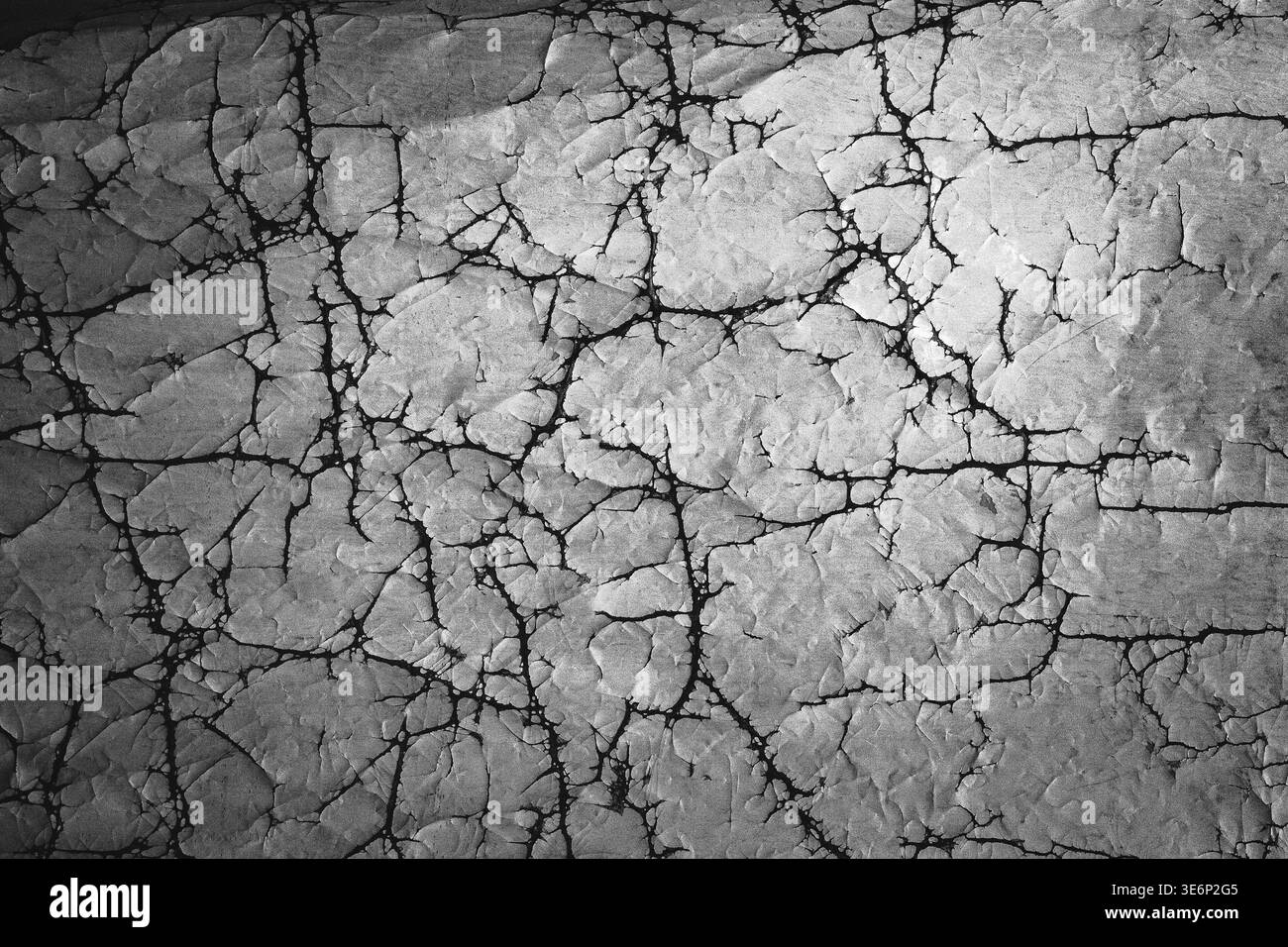 Die strukturierte weiße Oberfläche weist detaillierte, verzweigte Risse auf. Risse erzeugen ein kompliziertes, webähnliches Muster. Das Material weist Anzeichen von Verschleiß oder Alter auf. Ide Stockfoto