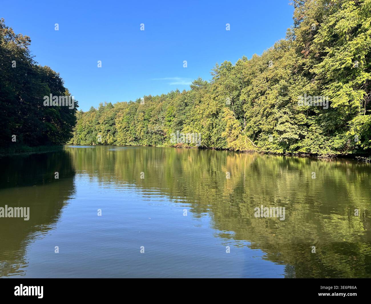 Ruhiger Waldwasserweg mit dichten grünen Bäumen in der Oblast Kaluga, Russland. - Smartphone-aufgenommenes Stockfoto