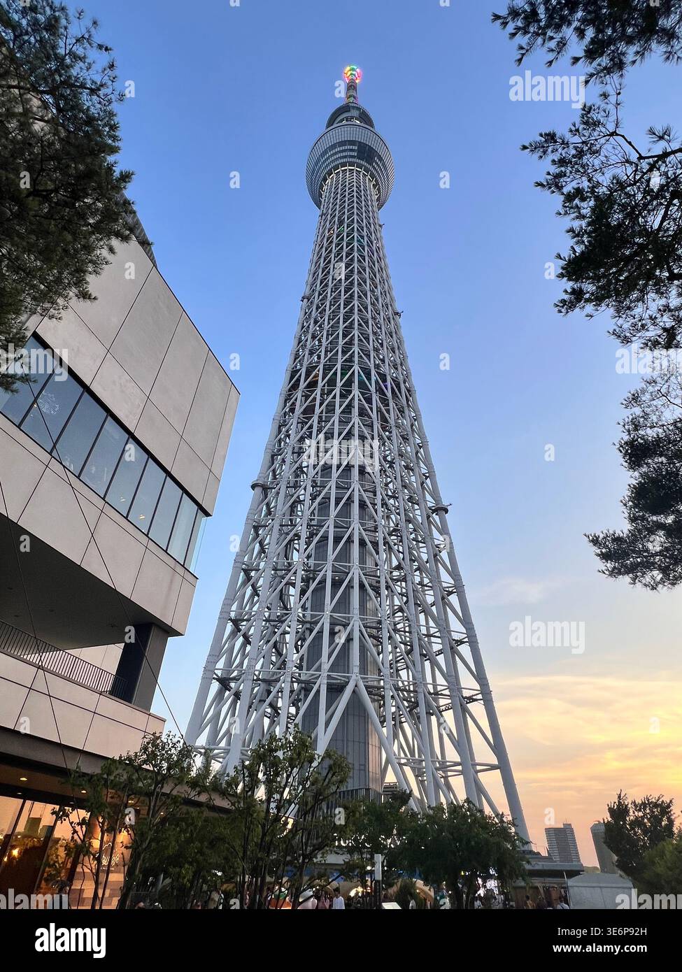 Flacher Blick auf den Tokyo Skytree bei Dämmerung in Sumida, Tokio, Japan. Stockfoto