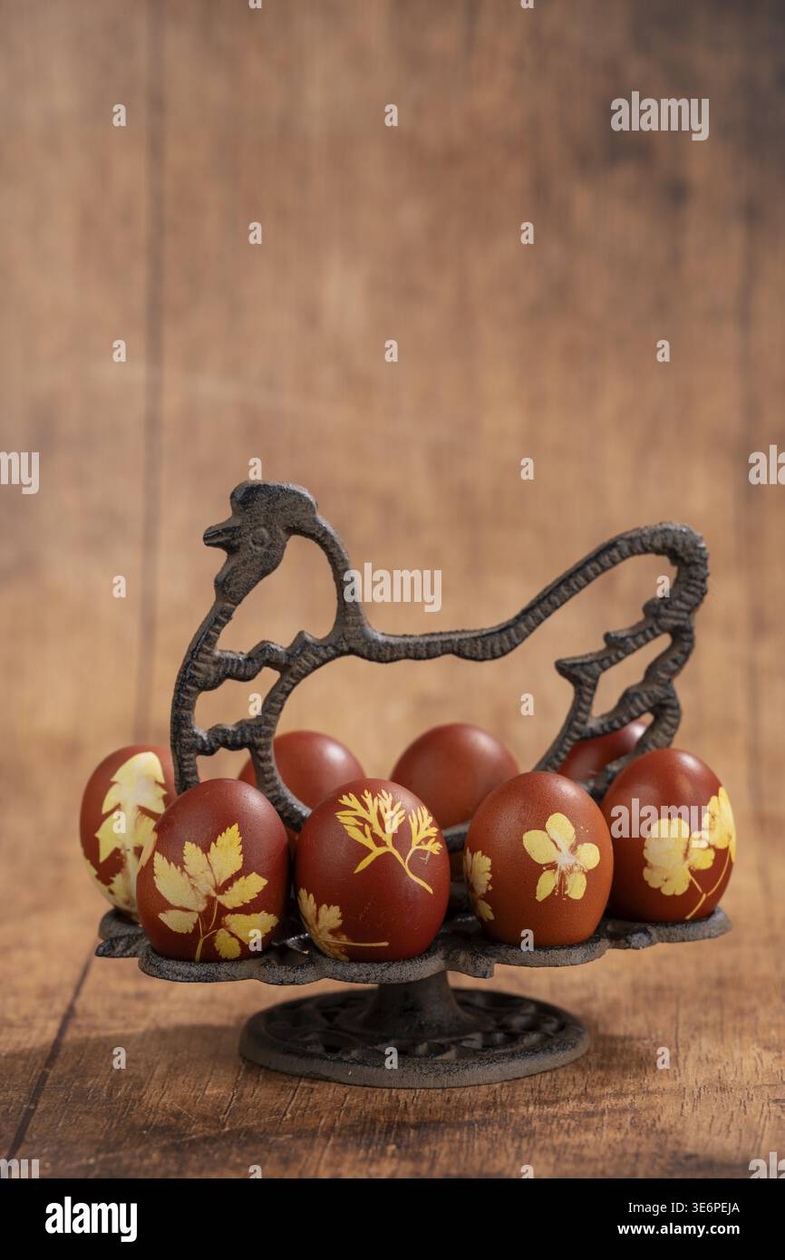 Natürlich und nachhaltig, mit Zwiebelhäuten, farbigen Ostereiern in einem symbolisierten Metallhuhn als Stand, Studio-Shot, Genthin, Sachsen-Anhalt Stockfoto