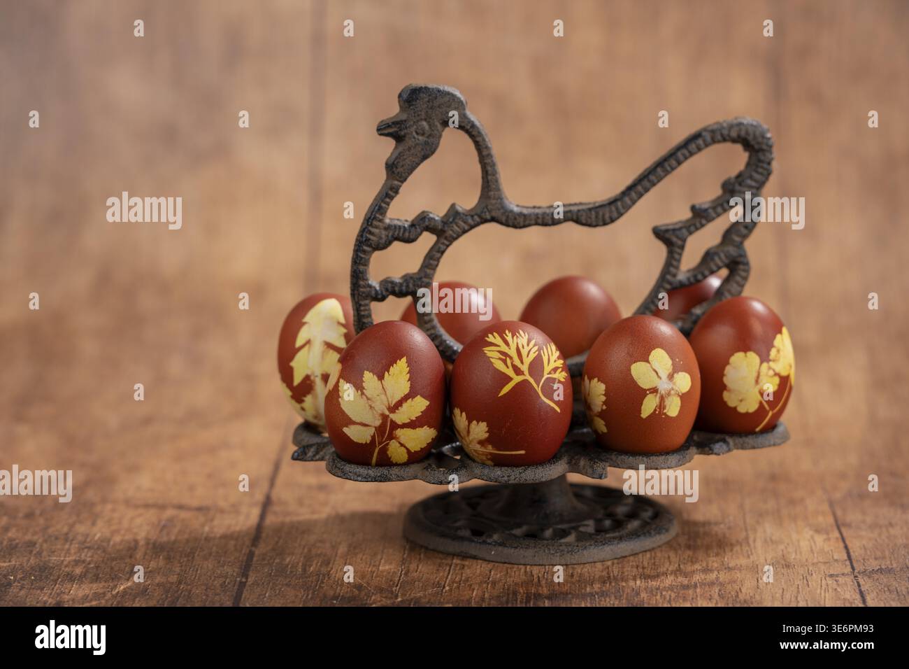 Natürlich und nachhaltig, mit Zwiebelhäuten, farbigen Ostereiern in einem symbolisierten Metallhuhn als Stand, Studio-Shot, Genthin, Sachsen-Anhalt Stockfoto