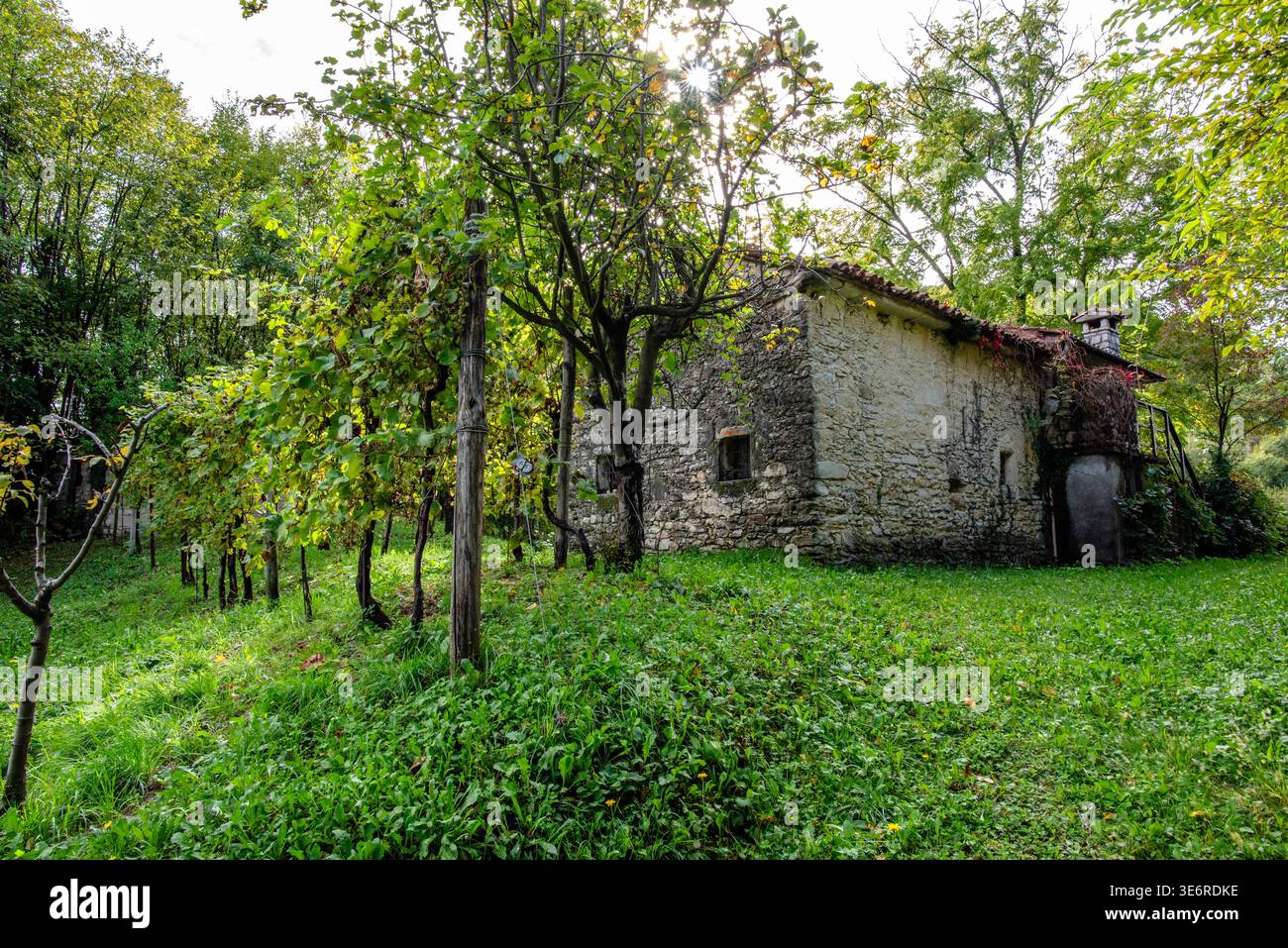Altes Bauernhaus aus Stein umgeben von Weinbergen und Bäumen in ländlicher Landschaft. Traditionelle landwirtschaftliche Umgebung, geeignet für Reisen, Immobilien und Heri Stockfoto
