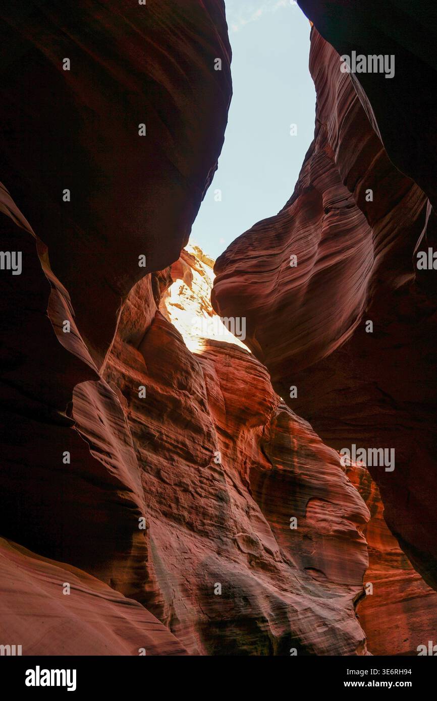 Schmale Sandsteinschlucht mit geschichteten Felsformationen und Sonnenlicht, die geschwungene Wände von oben in einer Wüstenlandschaft beleuchten. Stockfoto