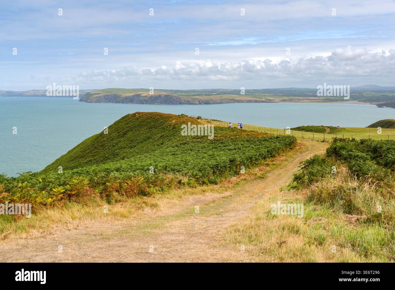 Fishguard, Pembrokeshire, Wales, Vereinigtes Königreich - Menschen wandern auf dem Wales National Coast Path um Dinas Head in der Nähe von Fishguard. Stockfoto