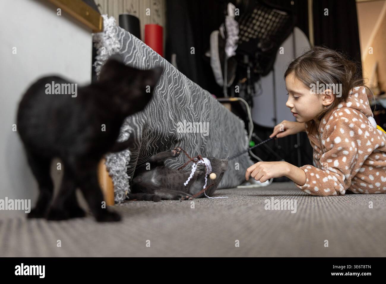 Mädchen und Kätzchen spielen in der Nähe des Sofas Stockfoto