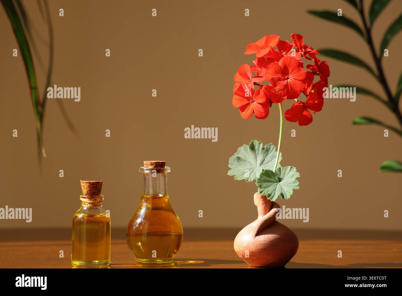Geranienätherisches Öl in Glasflaschen. Stockfoto