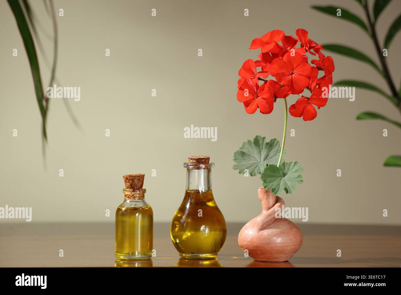 Geranienätherisches Öl in Glasflaschen. Stockfoto
