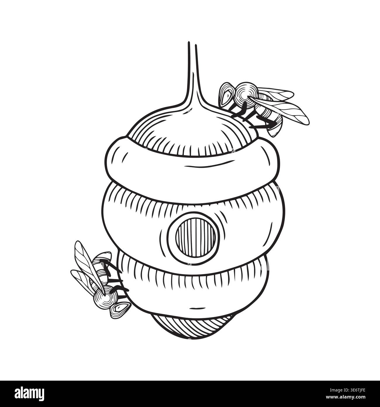 Handgezeichnete Grafik detaillierte Illustration von Wildbienen und Bienenstock isoliert auf weißem Hintergrund für Produktdesign oder Verpackung Stock Vektor