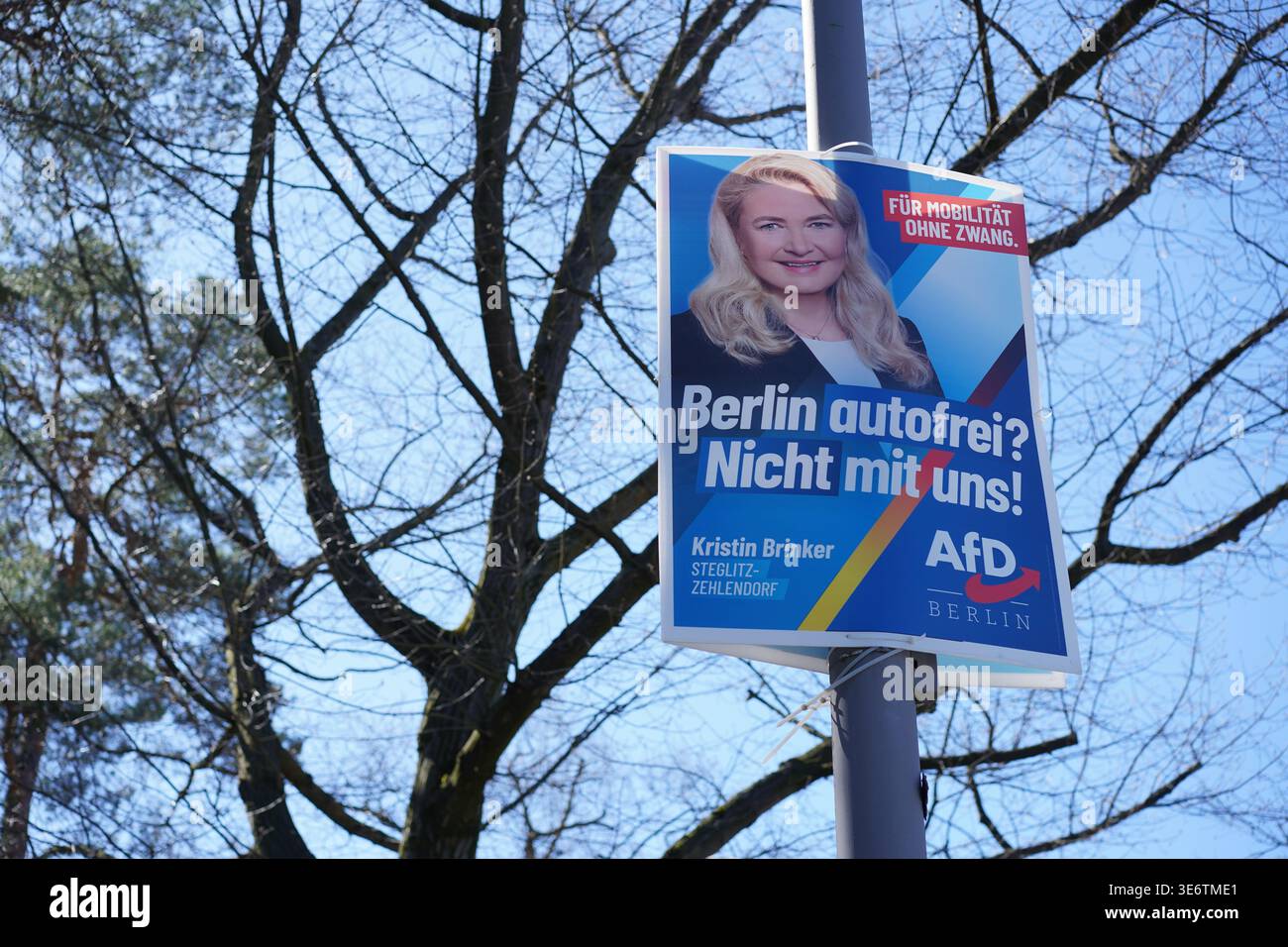 Berlin, 8. April 2026: Poster der AfD-Partei mit Kristin Brinker, die sich gegen die Initiative „Berlin autofrei“ (autofrei Berlin) ausspricht. Stockfoto