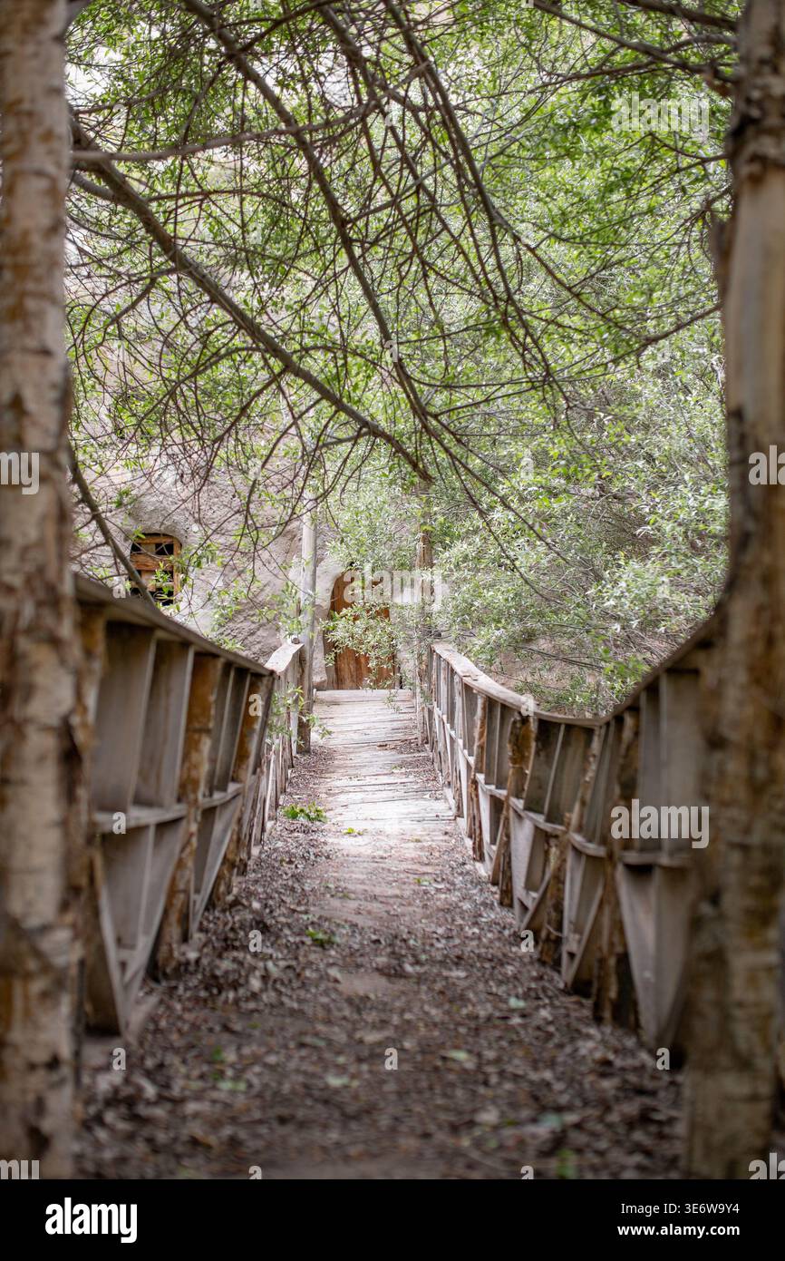 Alte baufällige Holzbrücke, von Bäumen eingerahmt, in einer ruhigen Waldlage in der Türkei Stockfoto