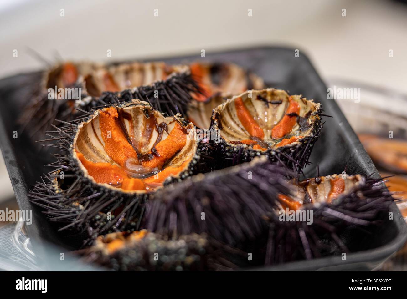 Seeigel mit Orangeneiern in einem Tablett, bereit zum Essen in einem Restaurant, Fischmarkt oder Fischhändler, Meeresfrüchte, Meeresfrüchte, Sushi-Konzept Stockfoto