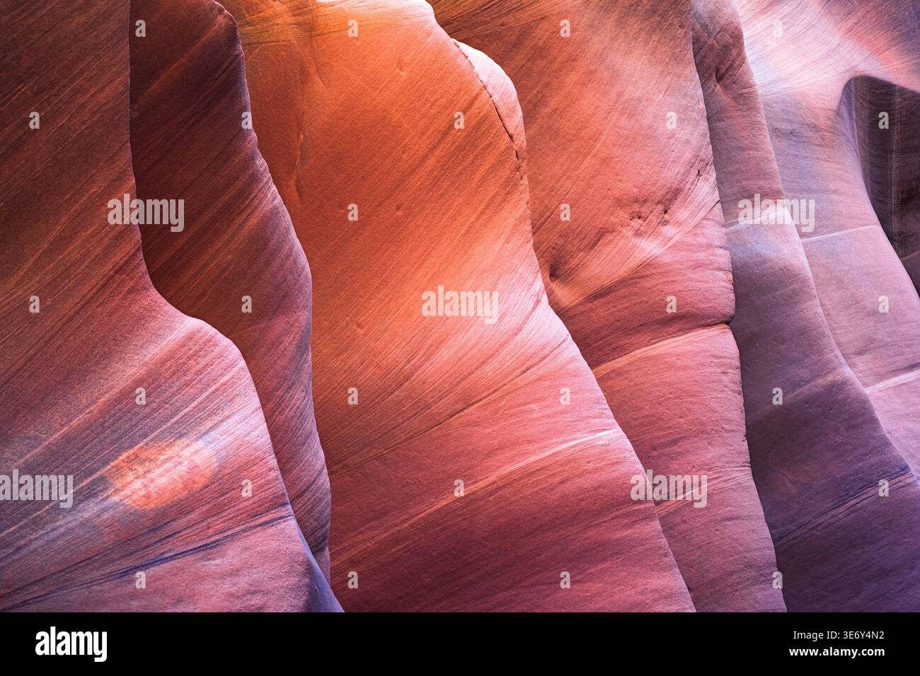 Blick auf die lebendigen, hügeligen Sandsteinformationen, die von Zeit und Elementen geformt wurden und einen faszinierenden Tanz aus Licht und Schatten erzeugen, Escalante, Utah, Stockfoto