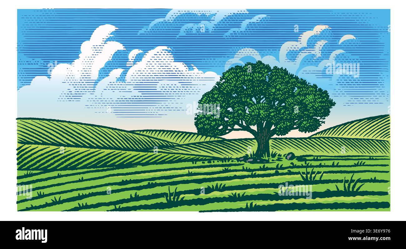 Wunderschöne rustikale Landschaft mit großer alter Eiche auf der Wiese. Hügel und Felder für Öko-Produkte, Käse, Milch und andere natürliche Produkte. Handgezeichnet Stock Vektor