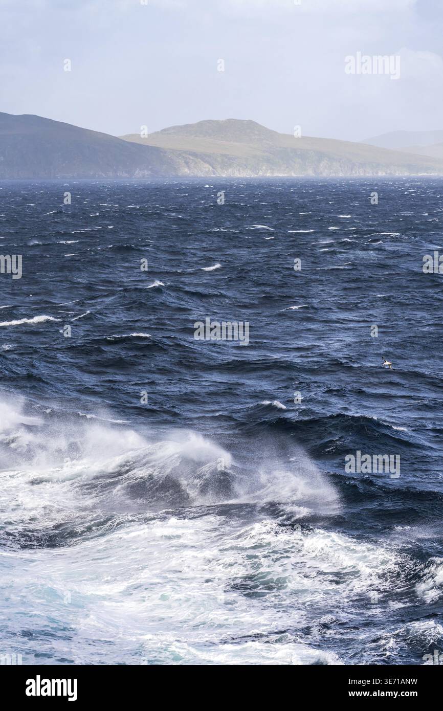 Bug des Kreuzfahrtschiffs auf schwerem Meer und schwellen mit Wellen, die von der Vorderseite des Bootes nahe Cape Horn krachen Stockfoto