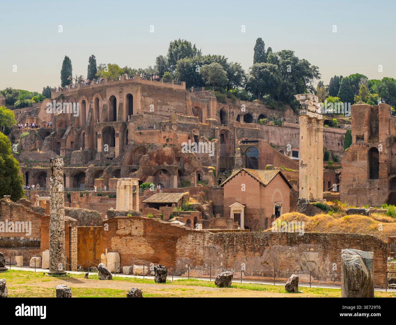 Blick vom Circus Maximus zum Paladin im Forum Romanum in Rom, Italien Stockfoto