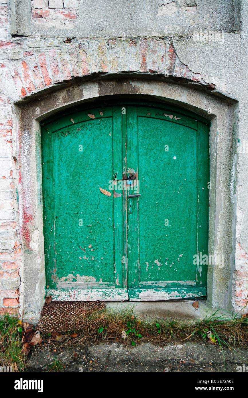 Alte, grüne Kellertür Stockfoto