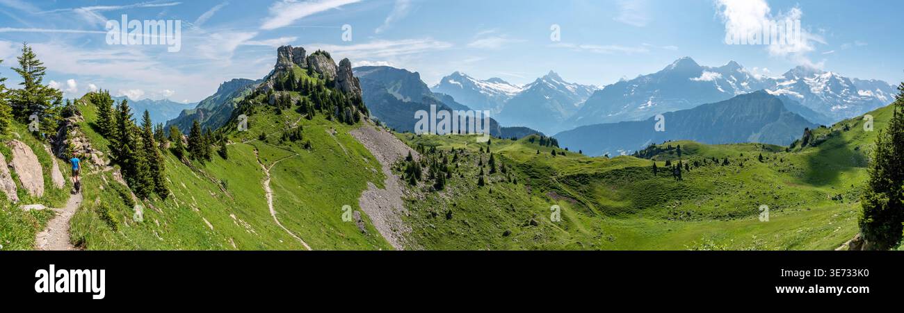 Berühmte Almweide Schynige Platte mit herrlichem Blick auf die Alpen in der Schweiz Stockfoto