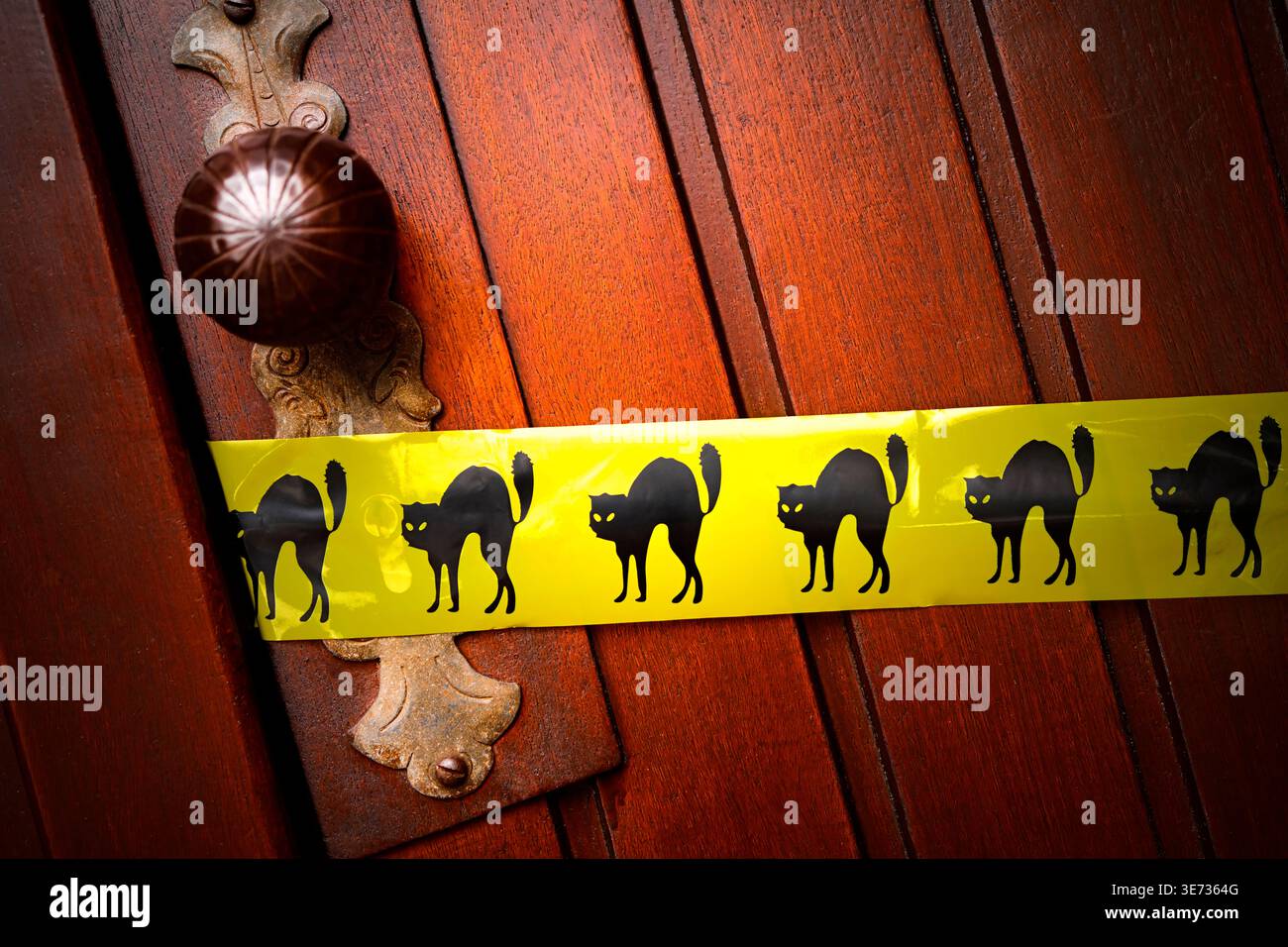 Tür mit Sperrband und schwarzer Katze, symbolisches Foto Freitag, den 13. Stockfoto