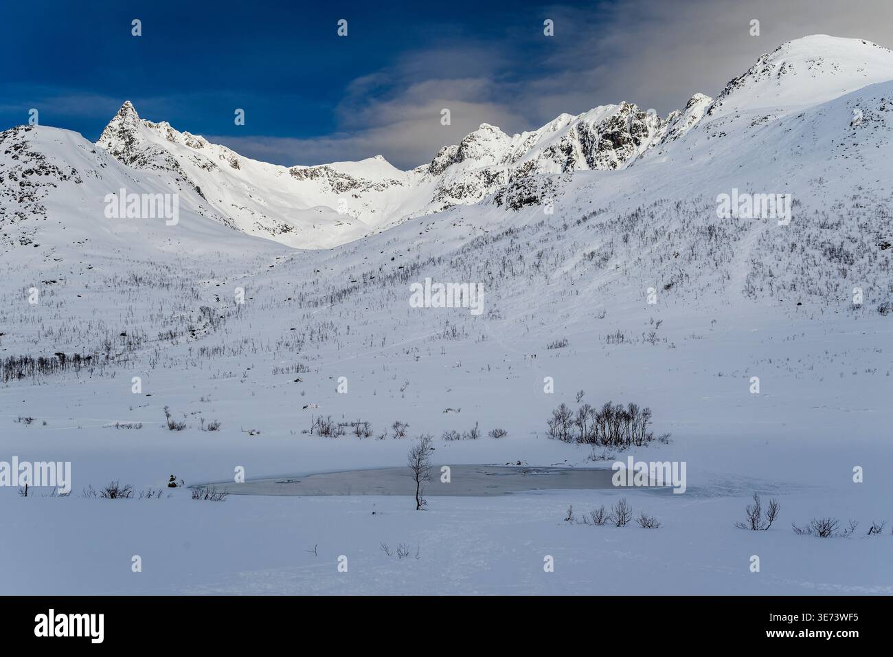 Malerische Schneelandschaft, Kattfjordvatnet, Troms, Norwegen Stockfoto