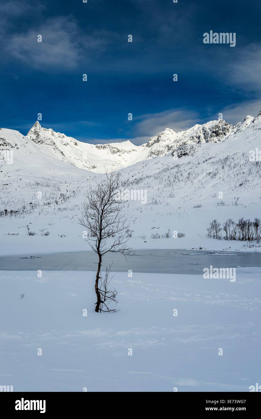 Malerische Schneelandschaft, Kattfjordvatnet, Troms, Norwegen Stockfoto
