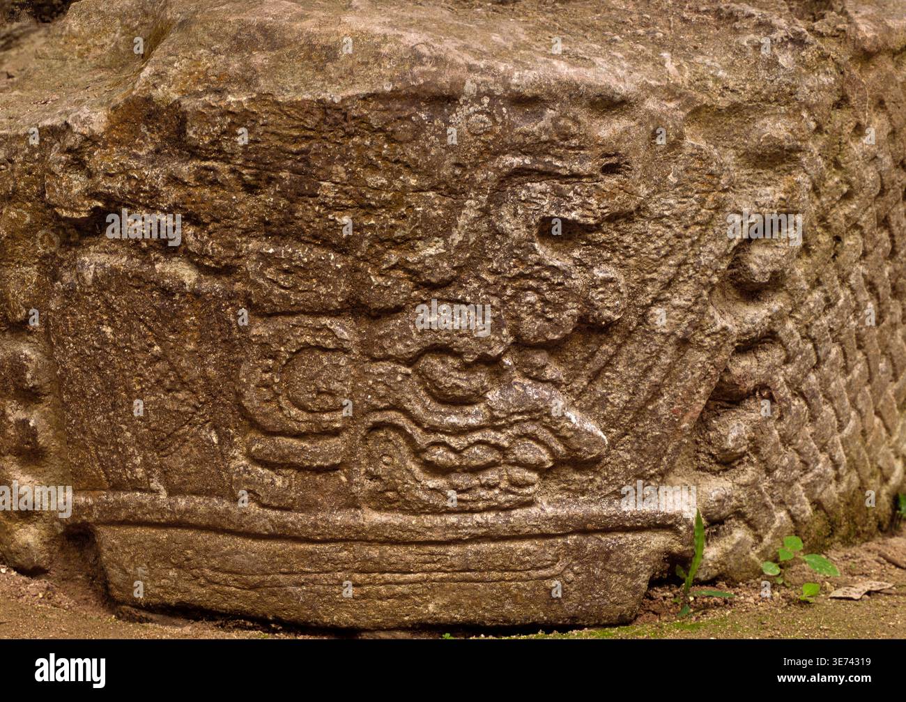 Zeremonialaltar Der Maya, Tikal, El Peten, Guatemala Stockfoto