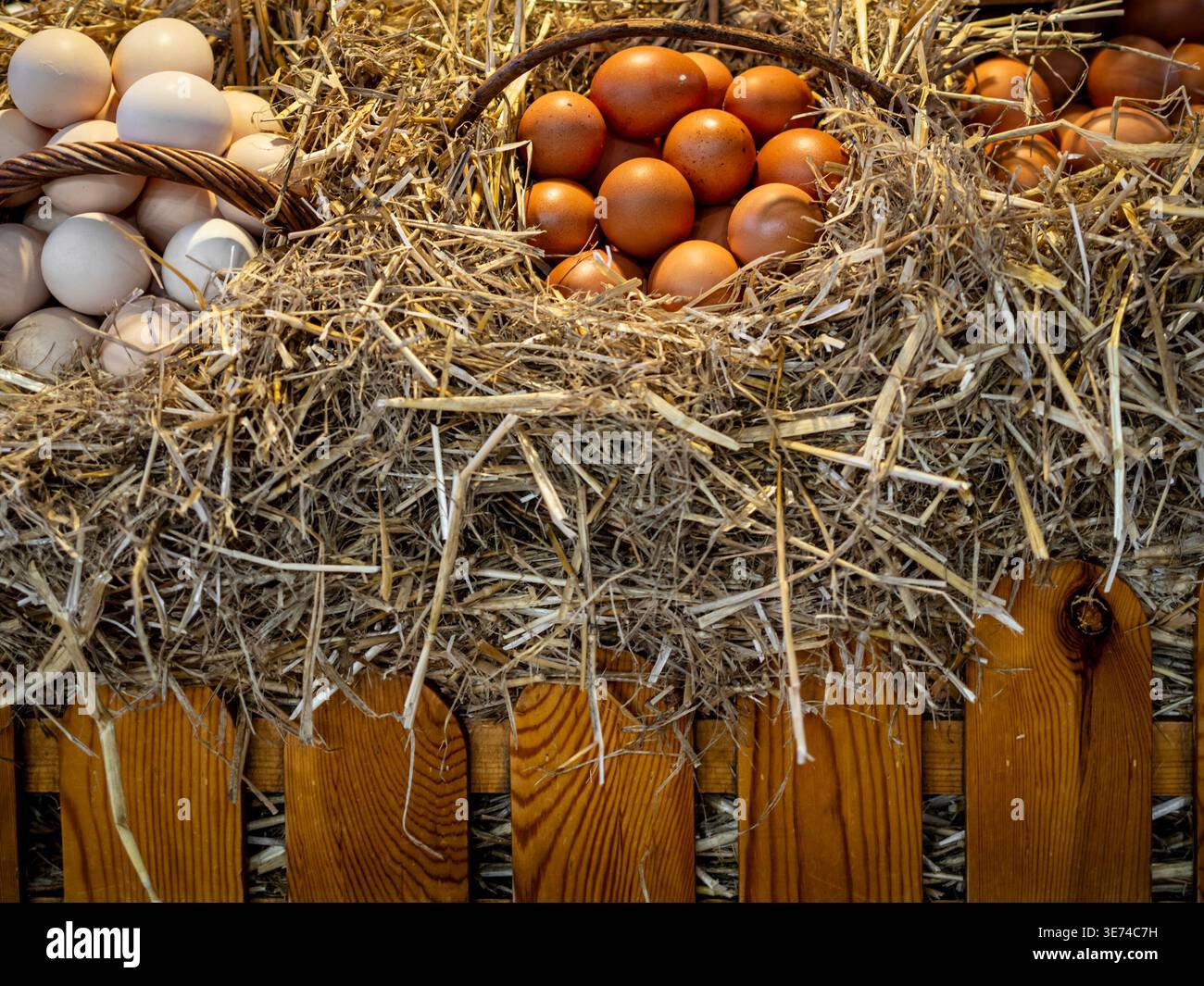 Frische Eier vom Bauernhof in rustikalen Korben aus Weiden, eingebettet in goldenes Strohhalm im Traditional Market Display Stockfoto