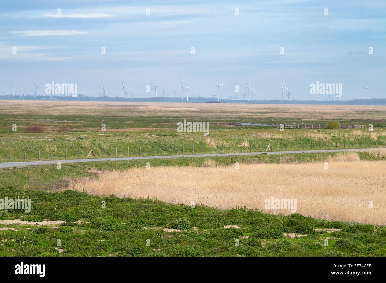 Versunkenes Land von Saeftinghe und Hafen von Antwerpen, Atlantische Salzmoorlandschaft, Feuchtgebiet und Naturschutzgebiet, Niederlande und Belgien, Brackwassergebiet Stockfoto