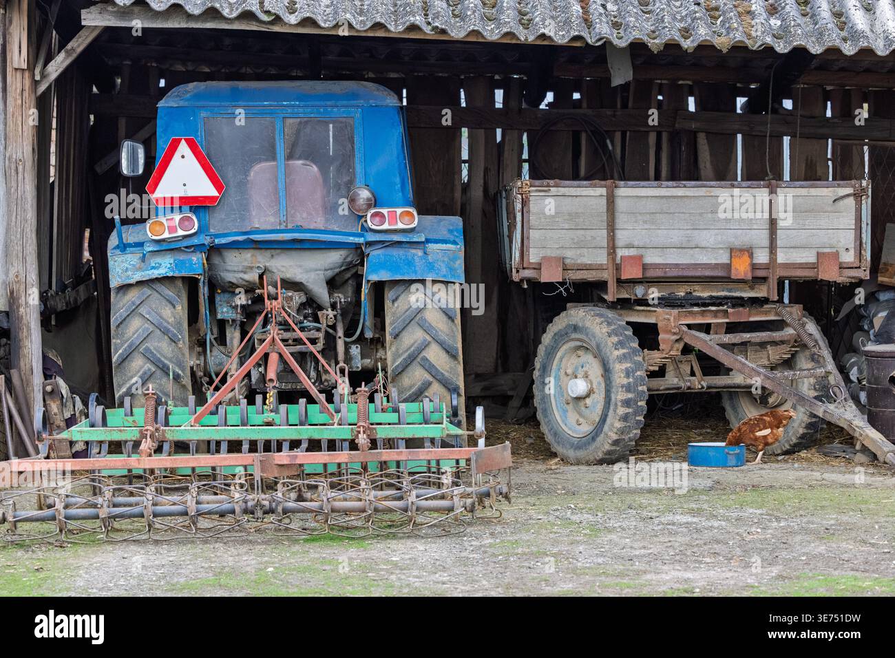 Ein verwitterter blauer Traktor und ein hölzerner Anhänger sitzen in einer rustikalen Scheune zwischen landwirtschaftlichen Arbeitsgeräten und Werkzeugen. Ein braunes Huhn peckt neben einer Wasserschale, was an ländliche L Stockfoto