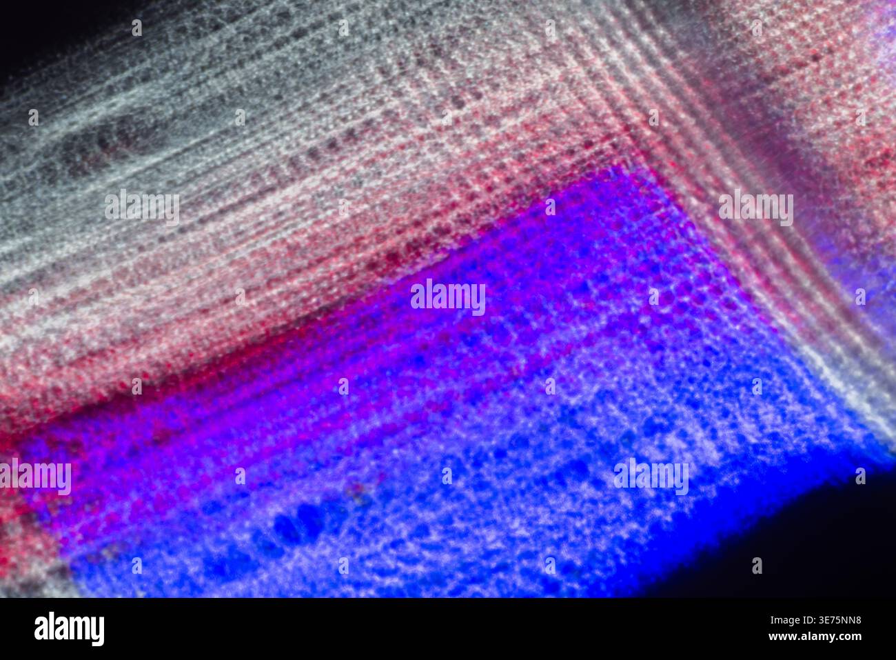 Lebendige abstrakte Textur mit mehrschichtigen, pixelartigen Mustern in Blau, Violett und Pink sowie weichem Bewegungsunschärfe. Ideal als farbenfroher Hintergrund oder als digitales A Stockfoto