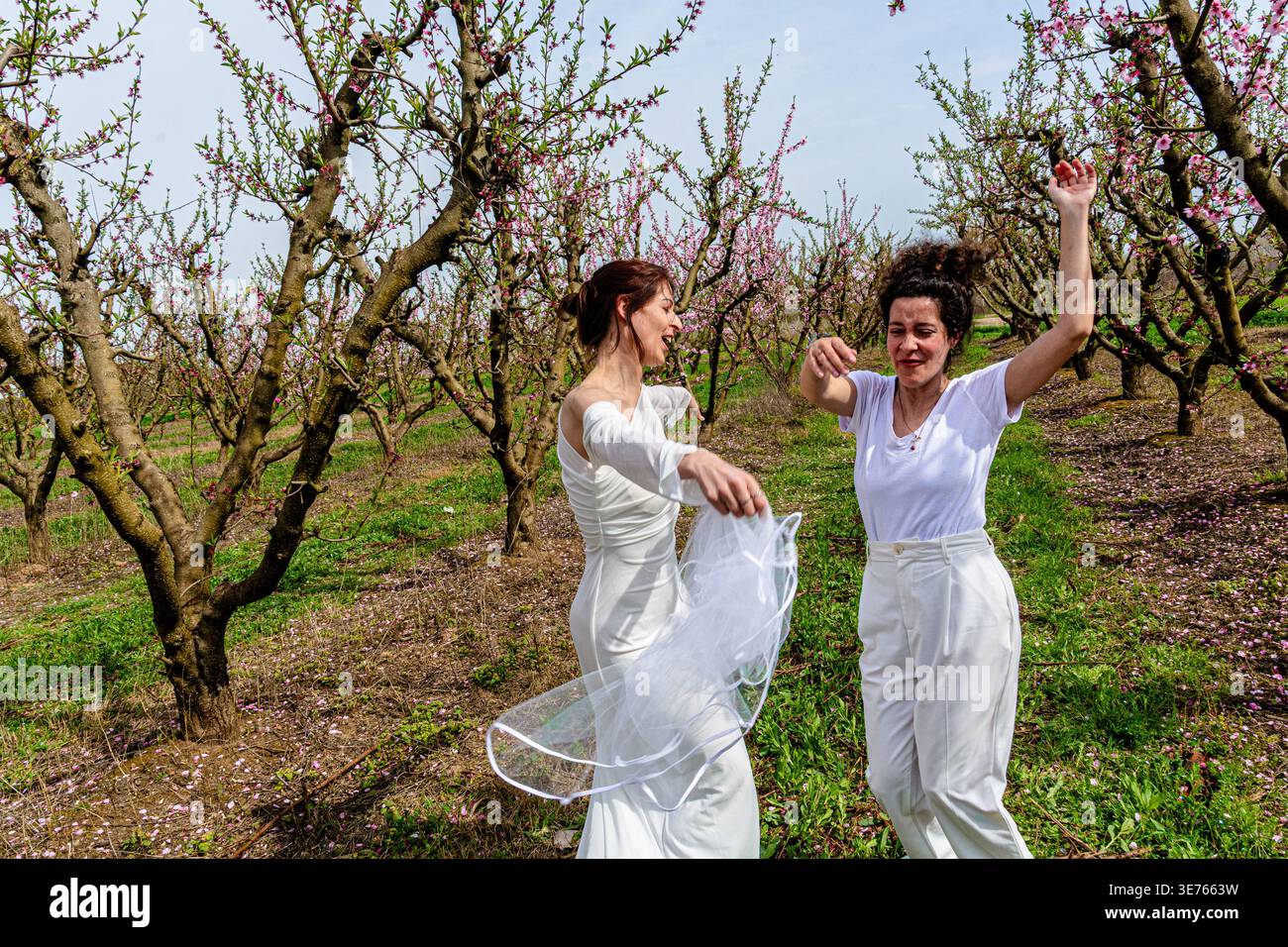Frauen tanzen lachend im blühenden Pfirsichgarten Stockfoto