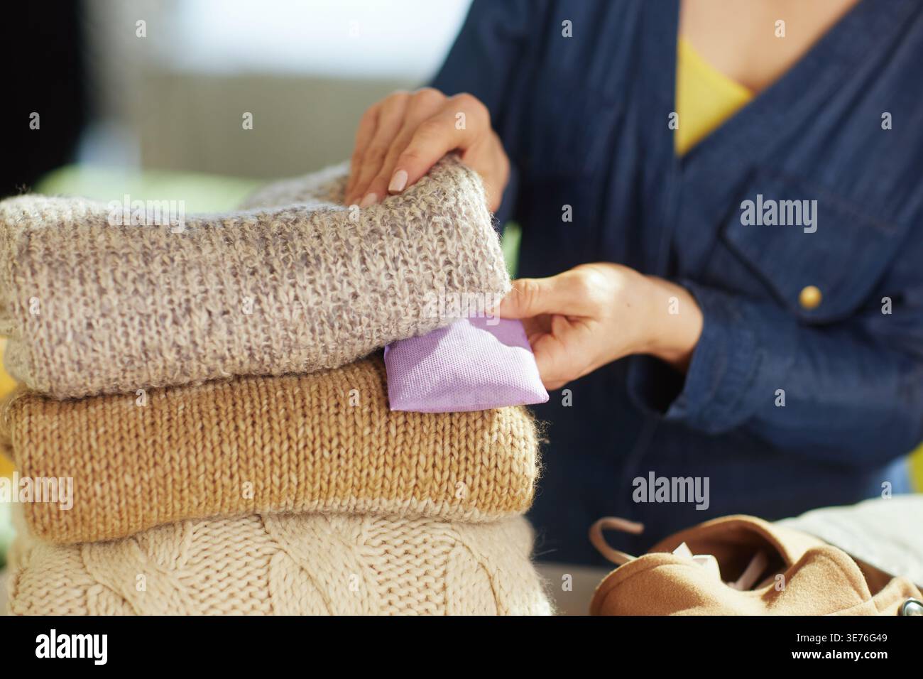 Eine Frau legt einen Lavendelbeutel zwischen ordentlich gefaltete Strickpullover und übt die notwendige Pflege und den Mottenschutz für die saisonale Garderobe-Orga Stockfoto
