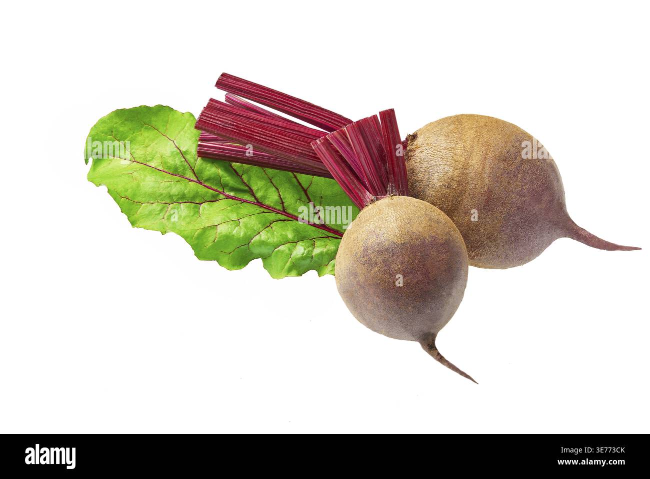 Rote Bete mit grünen Blättern auf weißem Hintergrund. Organische Rote Beete Stockfoto
