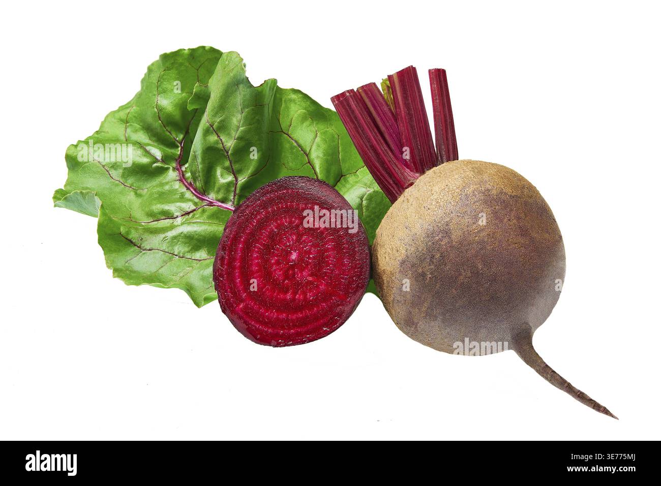 Rote Bete mit grünen Blättern auf weißem Hintergrund. Organische Rote Beete Stockfoto